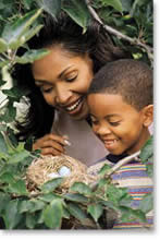 Image of woman and child investigating a bird nest